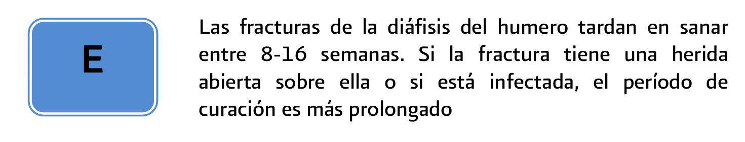 6. Tratamiento 6 - GPC-IMSS-555